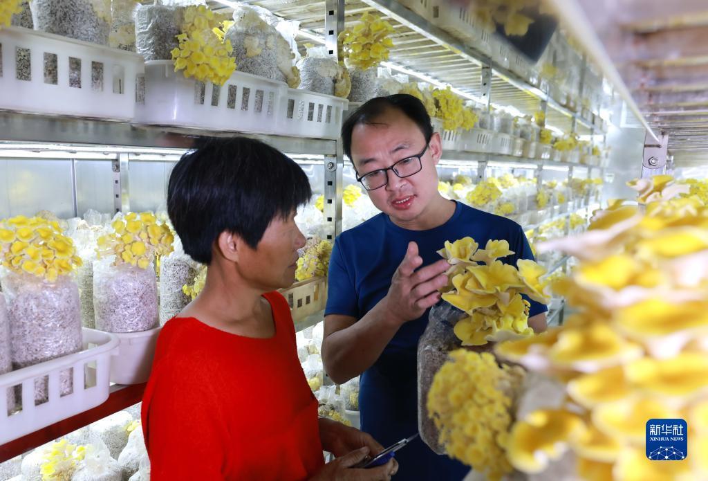 十博官方网站